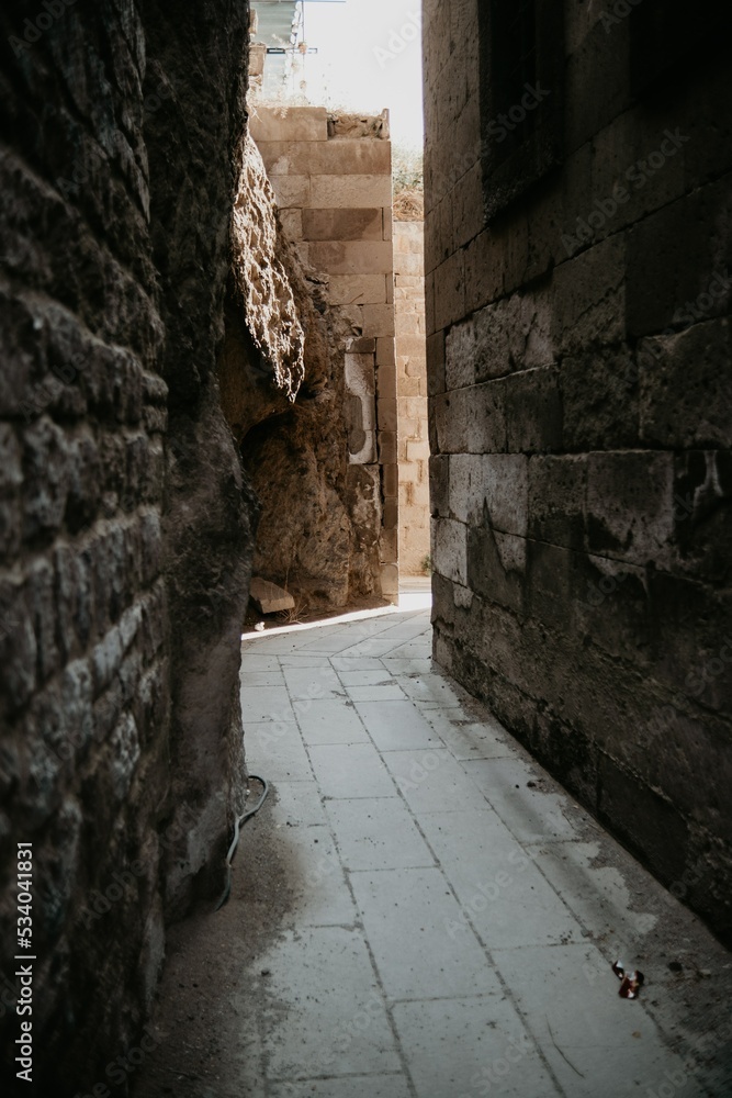 Obraz premium My garden