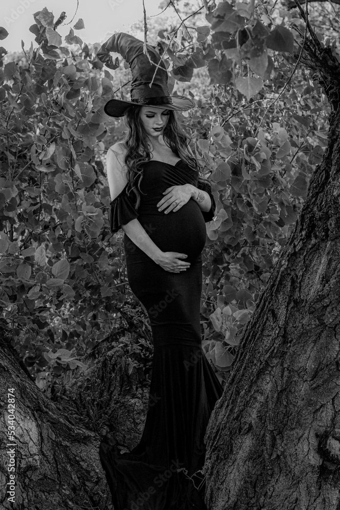 Fototapeta premium Witchy Mama To Be