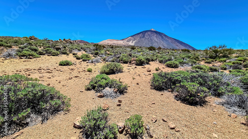 Panoramic view on volcano Pico del Teide and Montana Blanca, Mount El Teide National Park, Tenerife, Canary Islands, Spain, Europe. Hiking trail to La Fortaleza from El Portillo. Barren desert terrain