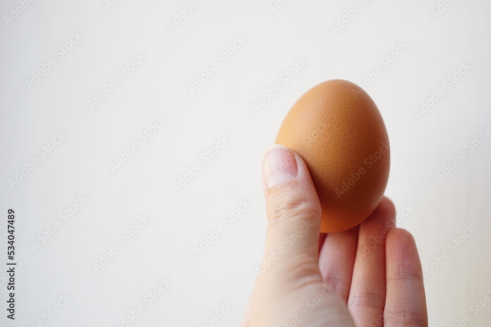 One brown chicken egg in a female hand on a white wall background One brown chicken egg in a female hand on a white wall background