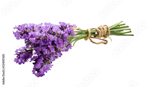 Bunch of blooming lavender