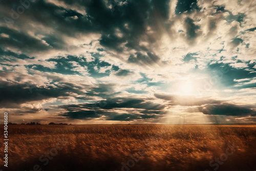 Sunset over the field with sun rays. Illustration