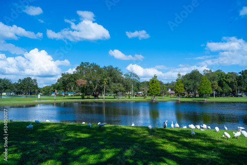 Lake zephyr in Zephyrhills town of Florida. Zephyrhills is a city in Pasco County  Florida  United States.