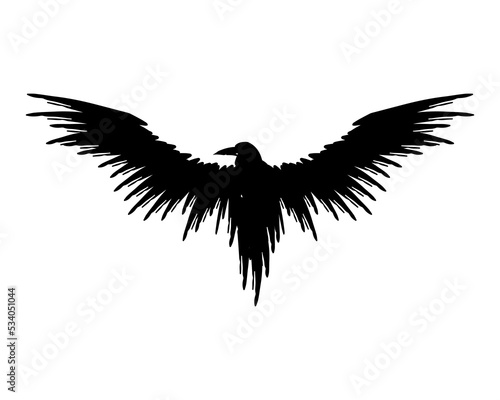 Flying black raven silhouette isolated on a white background.