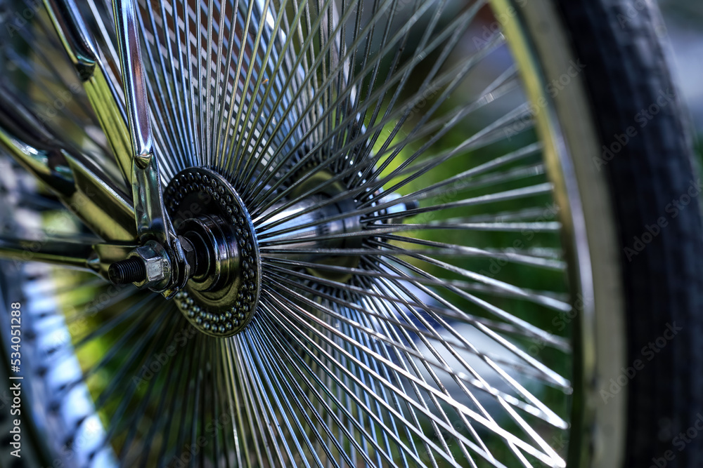 chrome bike spokes