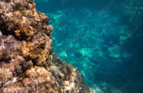 Underwater photo - snorkelling in Liapades, Corfu. Not much marine life - only algae and sea plants growing over rocks visible