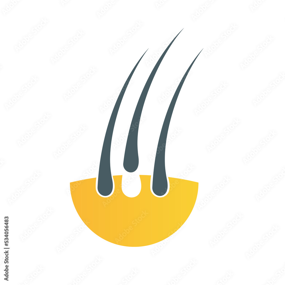 Human hair and skin, shedding hair. Vector illustration Stock