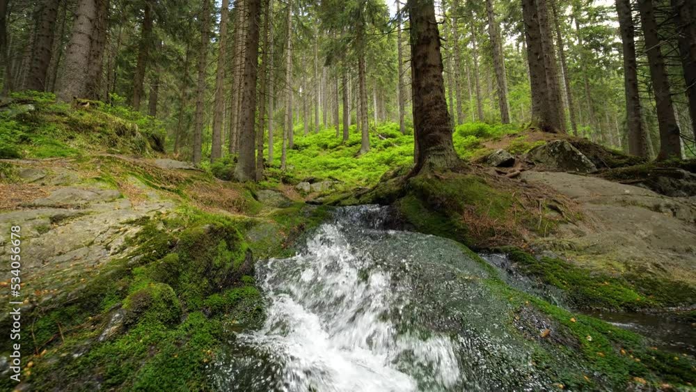 Mountain stream water flowing through a forest Mountain stream water flowing through a forest
