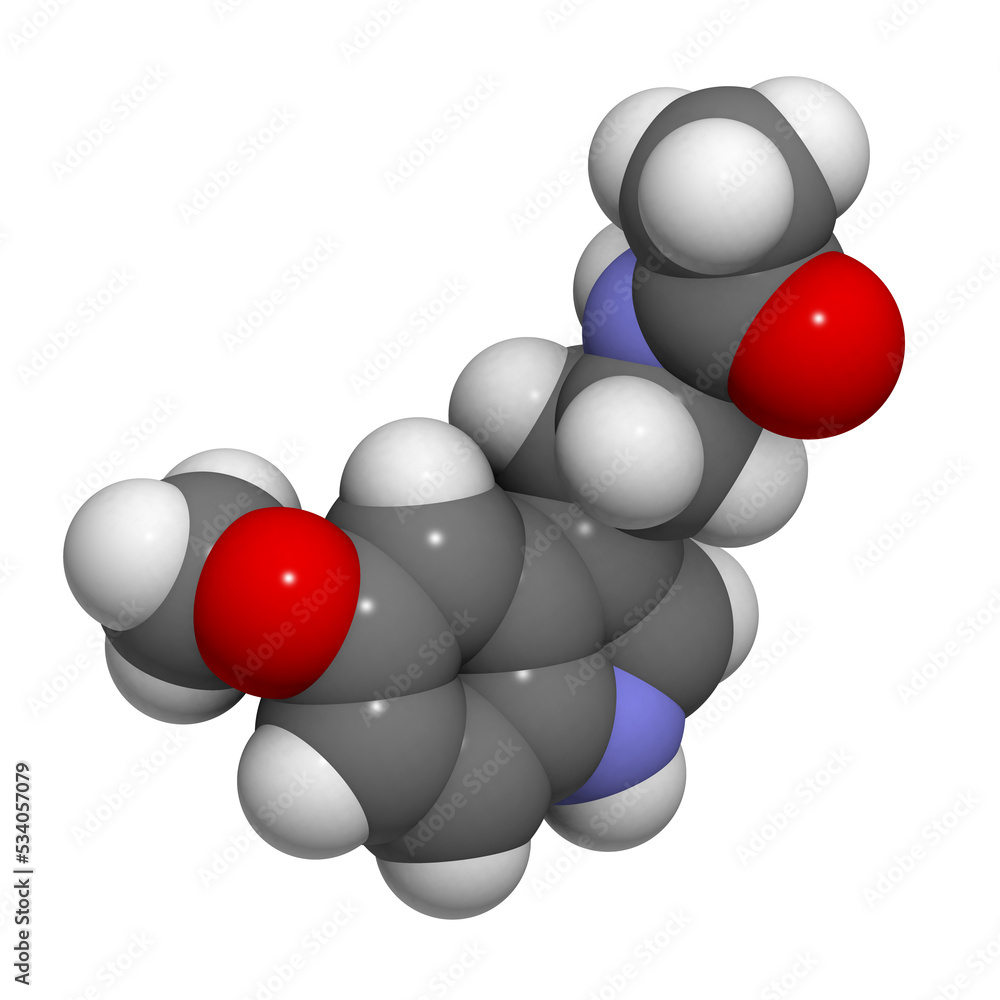 Melatonin hormone molecule. In humans, it plays a role in circadian rhythm synchronization. Melatonin hormone molecule. In humans, it plays a role in circadian rhythm synchronization.
