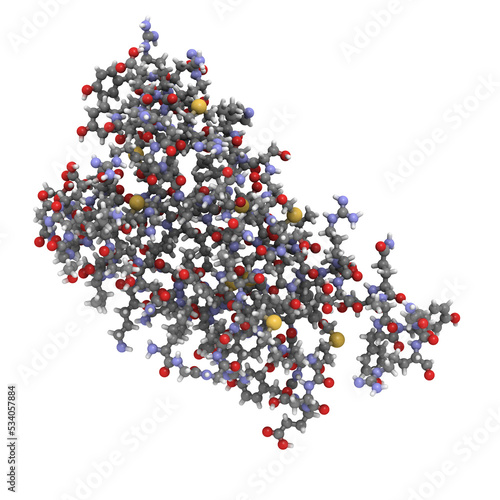 Human prion protein molecule (hPrP), chemical structure. hPrP is associated with transmissible spongiform encephalopathies, including Creutzfeldt-Jacob disease. Atoms as spheres, conventional coloring photo
