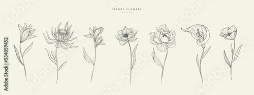 Valokuva Set of luxury flowers and logo