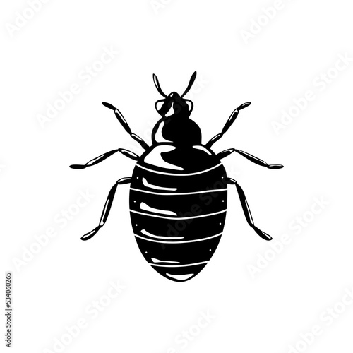 Black bedbug. PNG illustration. © Iryna