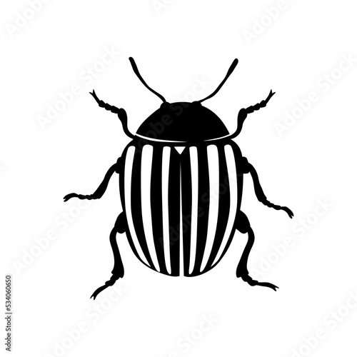 Colorado beetle isolated on white. Vector. © Iryna