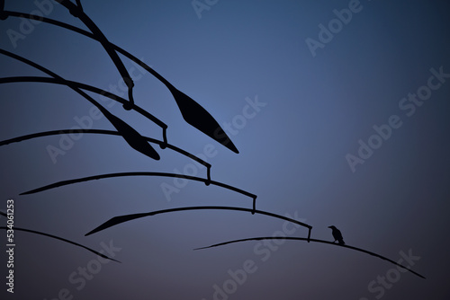Silhouette of a crow on an artistic statue