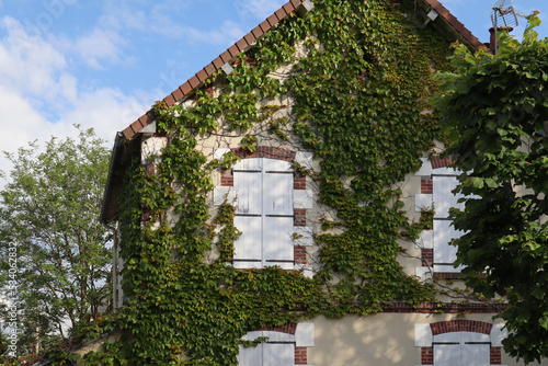 Facade of an old house covered with grapes in Cabourg, Normandy