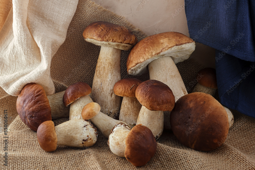 Mushrooms scattered on the table. Autumn mood at autumn time. Mushrooms scattered on the table. Autumn mood at autumn time.