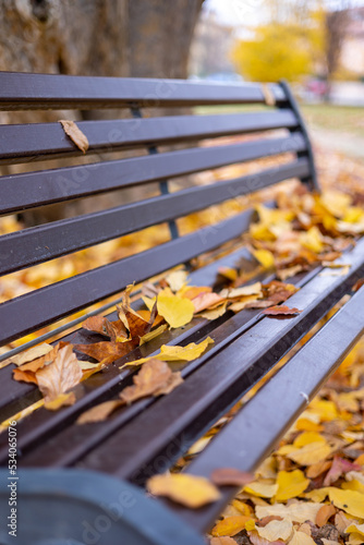 Close-up of a bench covered in colorful fallen leaves in an autumn park. Background.