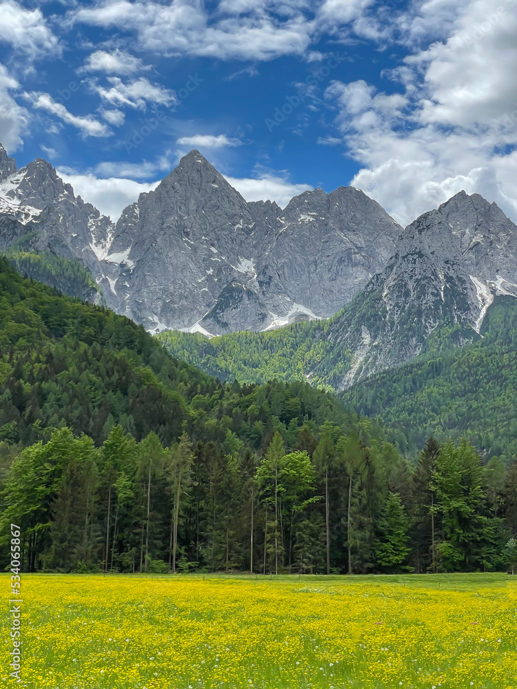 Beautiful scenic view from Dolomites with blooming meadow, forest and mountains
