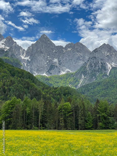 Beautiful scenic view from Dolomites with blooming meadow  forest and mountains
