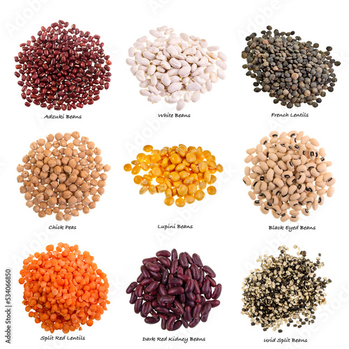 Various Types of Pulses on White Background with Names