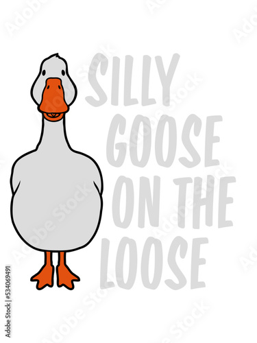 goose on the loose 