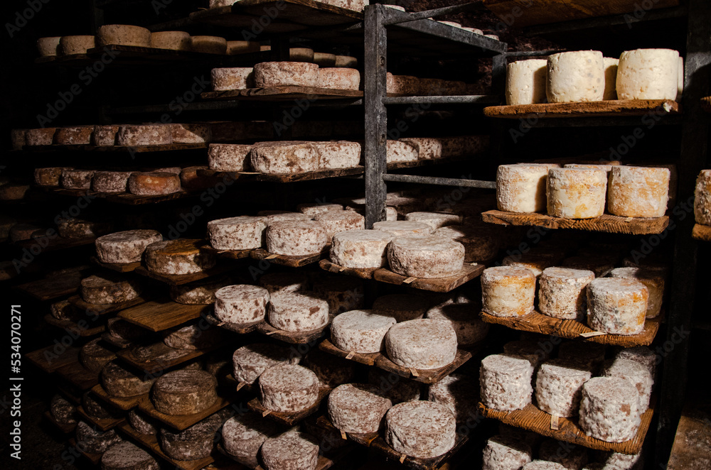 Fromages rustiques d'alpage au séchoir Fromages rustiques d'alpage au séchoir