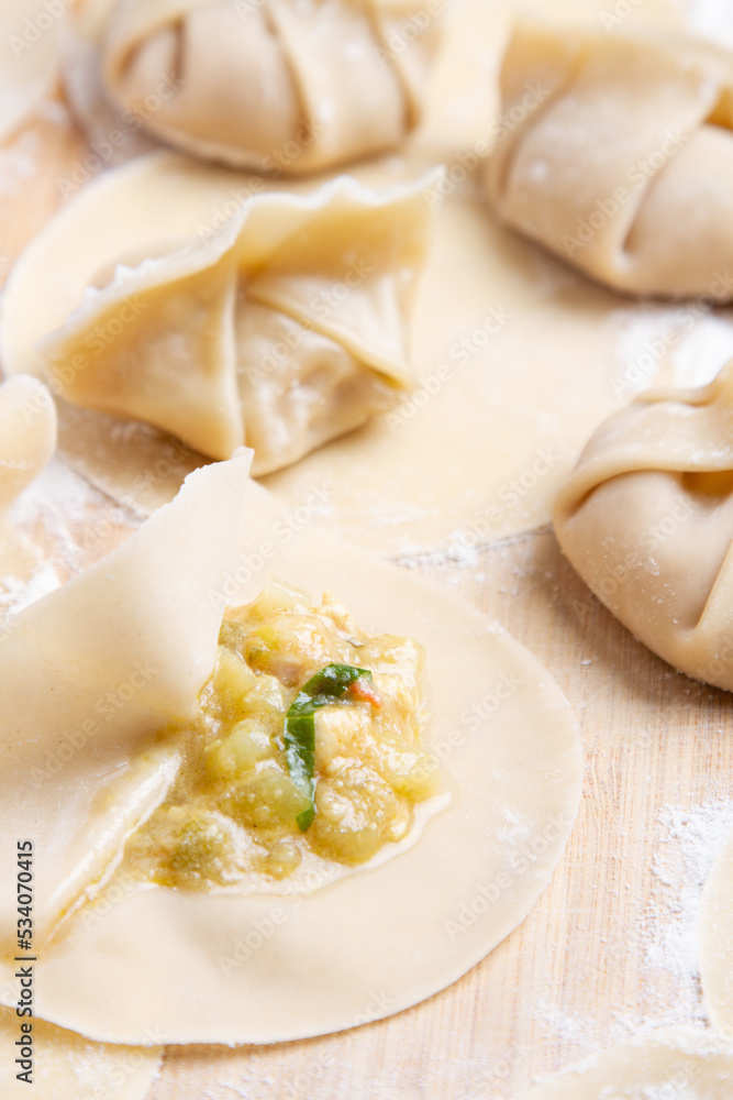 Handmade Dumplings in Preparation Authentic Home Cooking of Chinese food Handmade Dumplings in Preparation Authentic Home Cooking of Chinese food