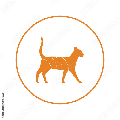 Animal ecology environment tiger icon | Circle version icon |