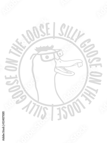 goose on the loose 