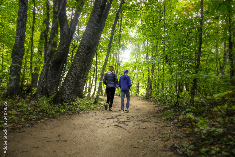 Two hikers walking on a trail through the woods 