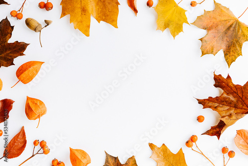 Isolated leaves, Collection of multicolored fallen autumn leaves isolated on white background, Autumn orange leaf falling down Isolated on white background, top view with copy space, Autumn background