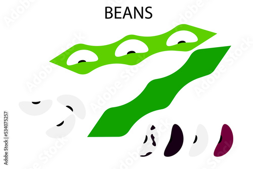 Beans, great design for any purposes. Natural background. Healthy eating illustration set. Vector illustration. Stock image.