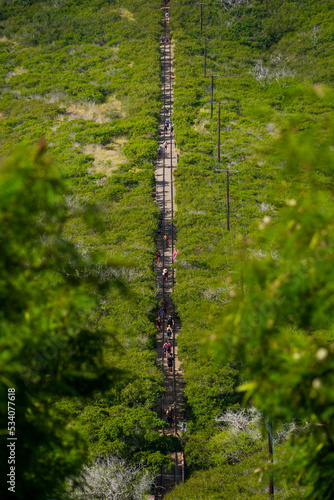 Straight path on the steep slopes of the Koko Crater Railway Trail in the suburbs of Honolulu on O'ahu island, Hawaii