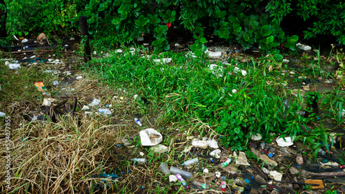 Eichhornia crassipes or common water hyacinth and many garbage on surface of water of Choa praya river at Bangkok, Thailand photo