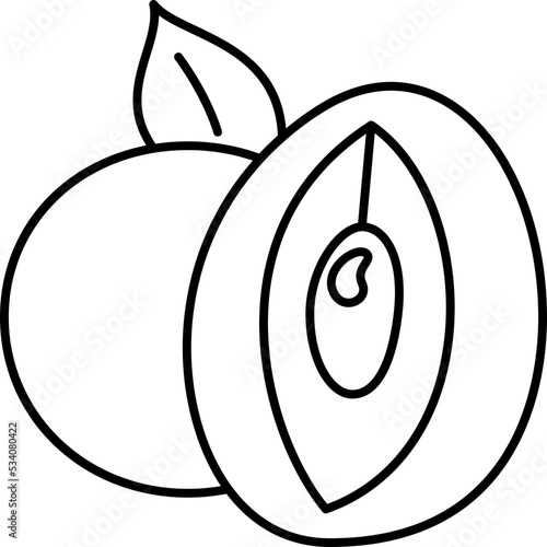 sapodilla  icon