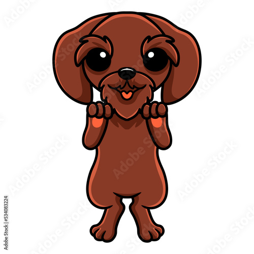 Cute pudelpointer dog cartoon standing