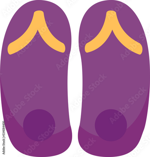 Flipflop  icon
