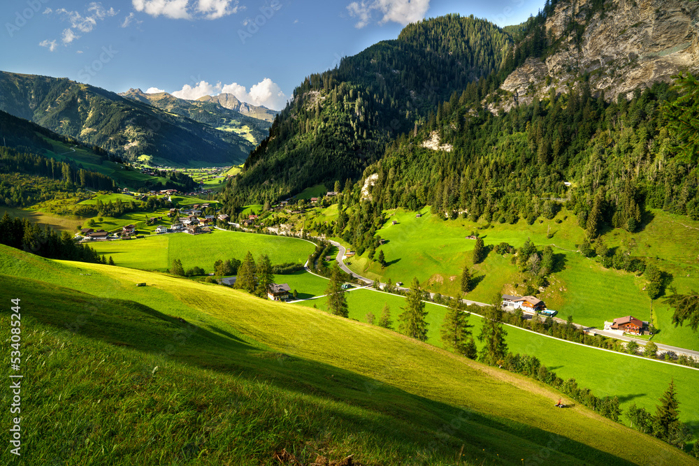 landscape with grass landscape with grass