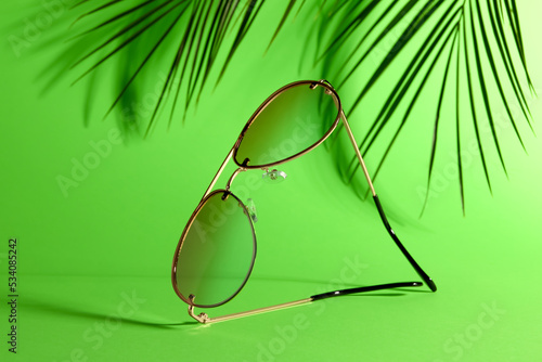 Stylish sunglasses and palm branches on green background