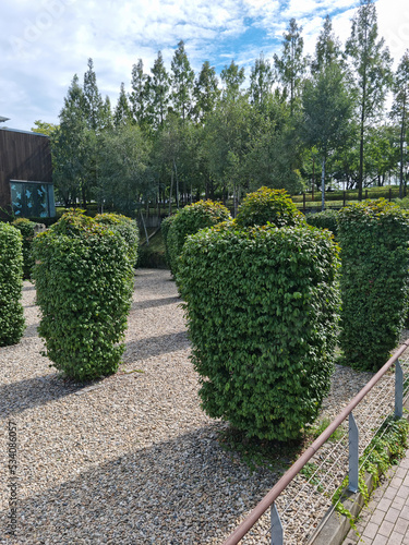 Gravel fields and vines covering posts