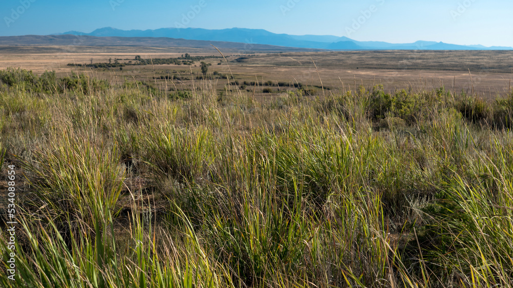 North Fork grasslands with Illinois River and Rocky Mountains in northern Colorado North Fork grasslands with Illinois River and Rocky Mountains in northern Colorado