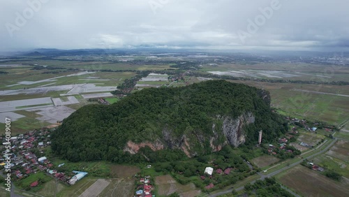 The Paddy Rice Fields of Kedah, Malaysia