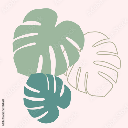 Monstera leaves collection on pink background
