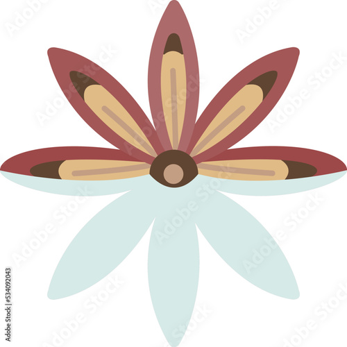 Anise icon