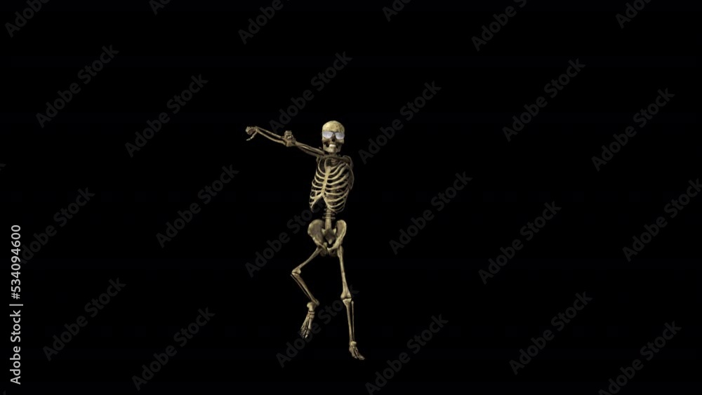 Skeleton Dancer Transparent Alpha Video Animation Skeleton Dancer Transparent Alpha Video Animation