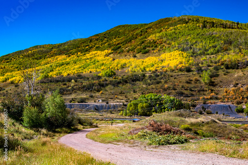 Yellow Aspens Outside of Oakcreek Colorado