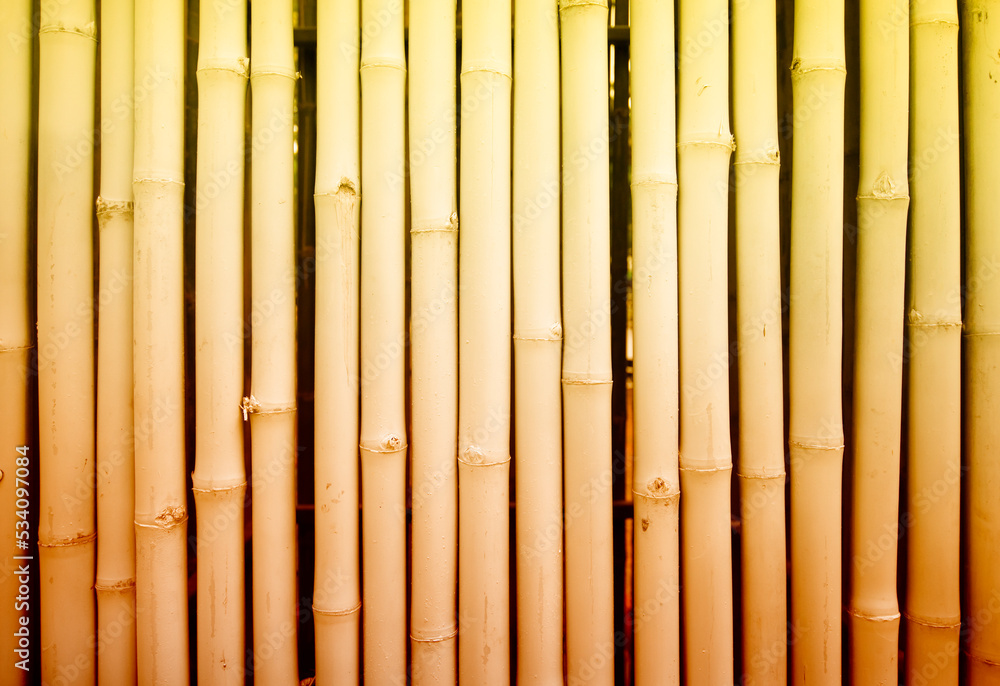 Naklejka premium Concept image. Bamboo background pattern.