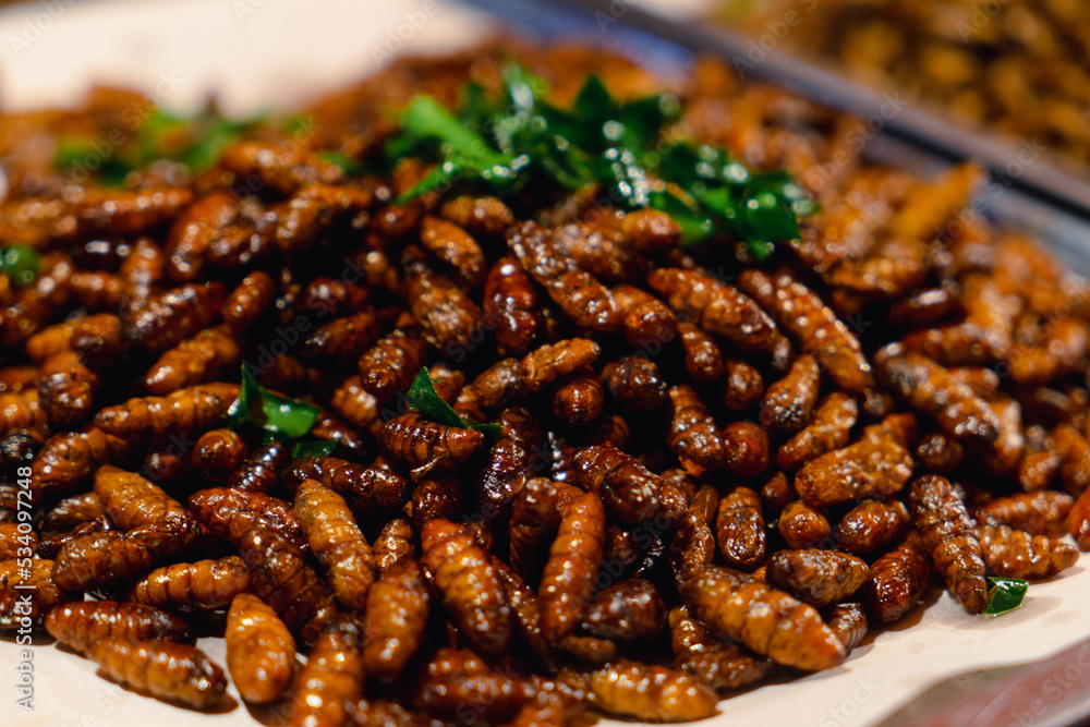 street food in thailand fried worm bugs