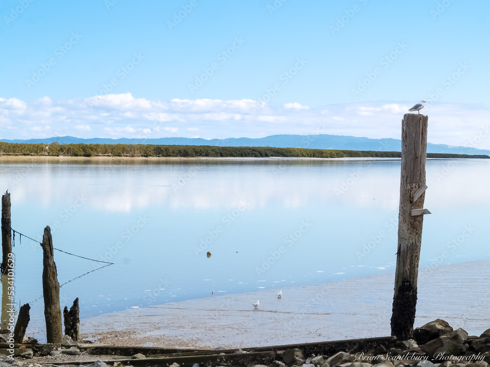 Old jetty posts in shallow muddy harbour