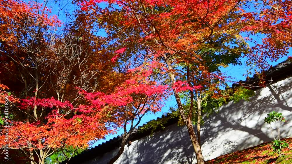 名称未設定プロジェクト